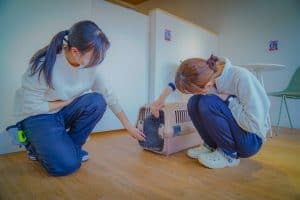犬の幼稚園 ・トリミング・ペットホテル Perrito (ペリート) | 京都市伏見区石田大山町