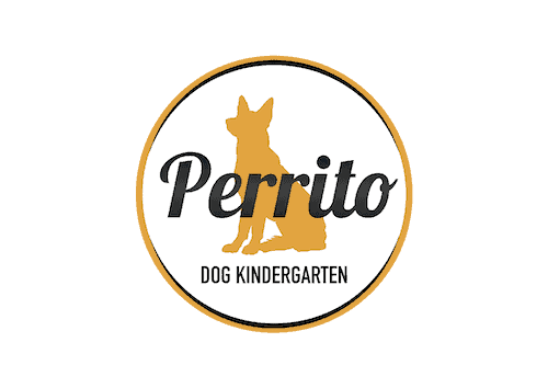 犬の幼稚園 ・出張トレーニング・トリミング・ペットホテル Perrito (ペリート) | 